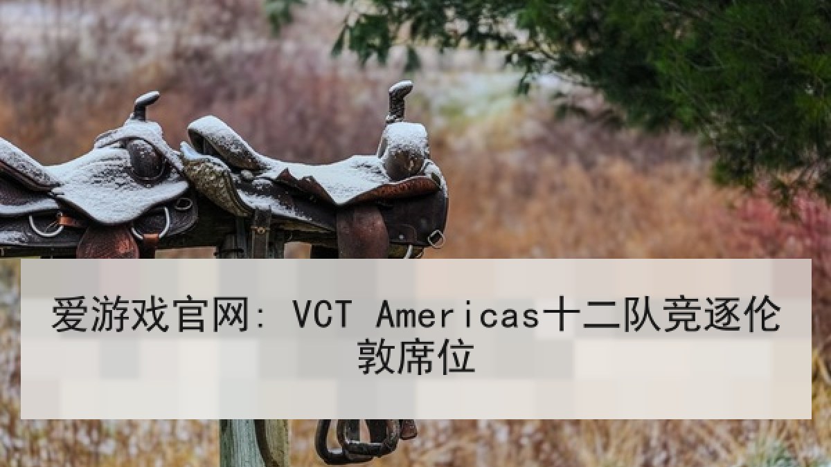爱游戏官网: VCT Americas十二队竞逐伦敦席位